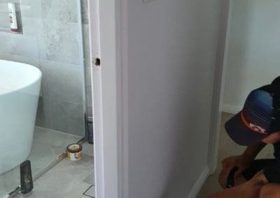 Termite Inspections